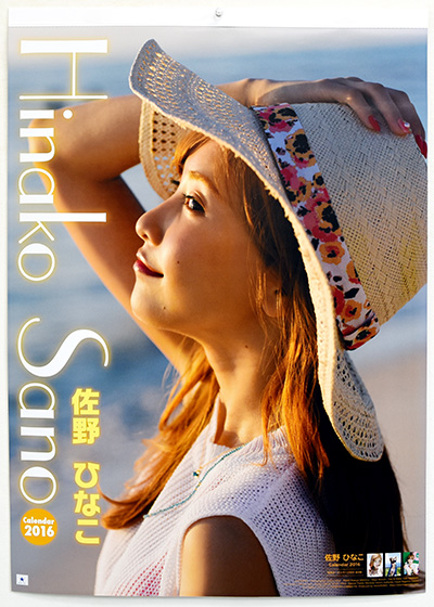 佐野 ひなこ 2016 Calendar 表紙