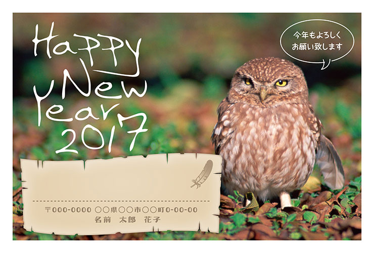 デザインD　カスタマイズ例：差出人住所氏名