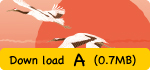 Down load A (0.7MB)