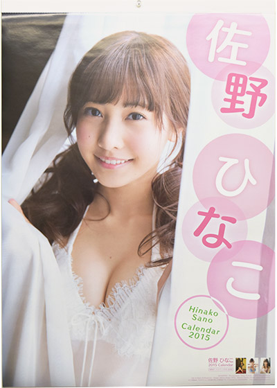 佐野 ひなこ 2015 Calendar 表紙